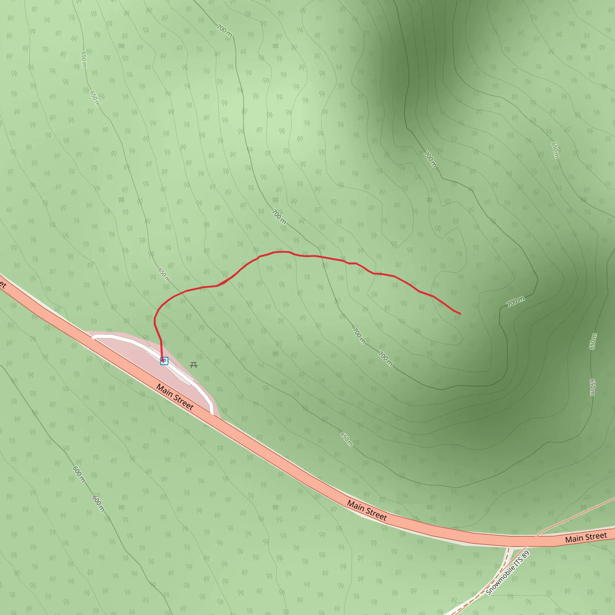 Main Street Out and Back mobile static map