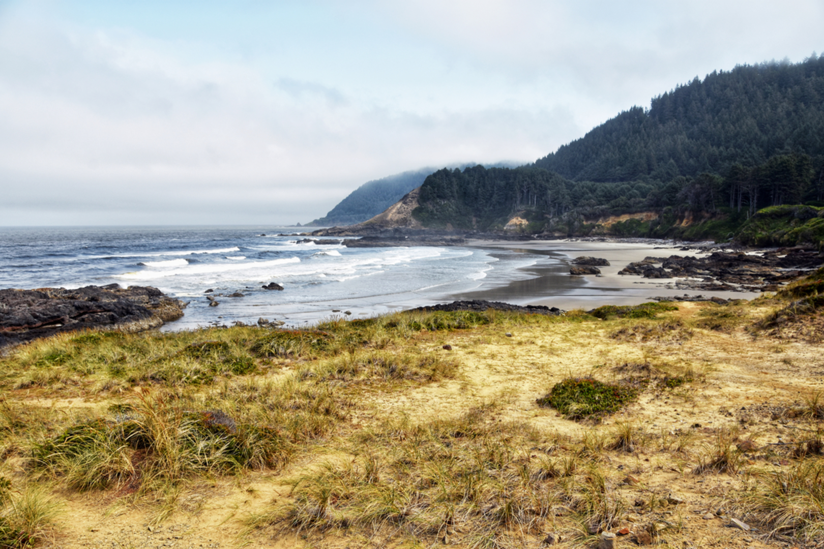 An image depicting the trail Gwynn Creek Trail and its surrounding area.