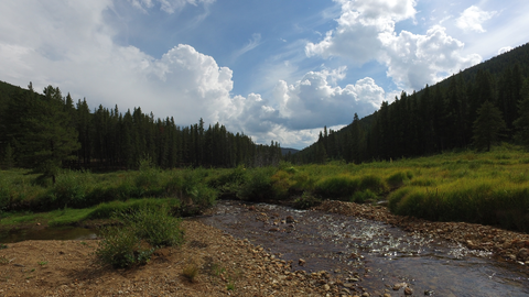 Canyon Creek Trail
