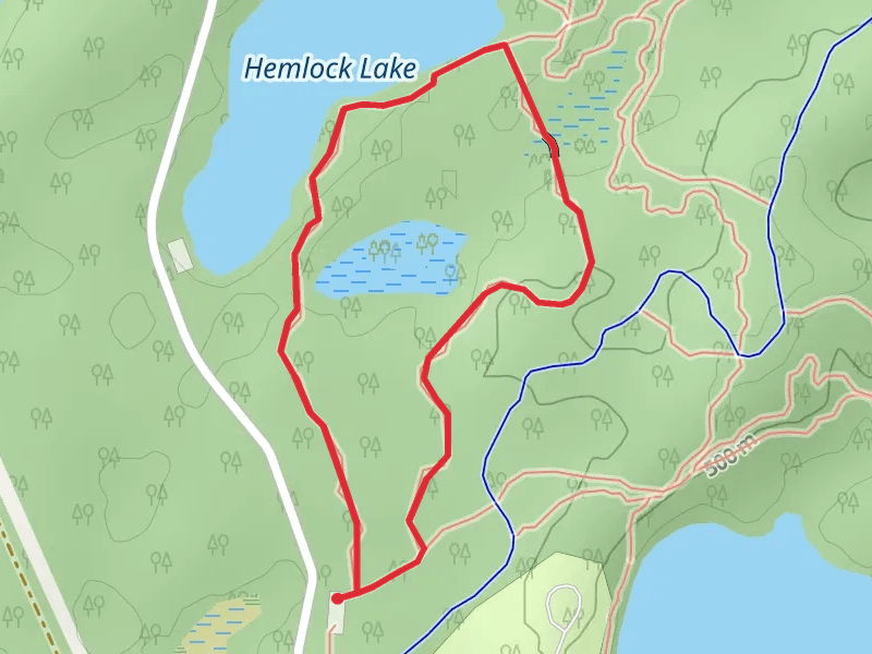 Nature and Hemlock Lake Loop Trail