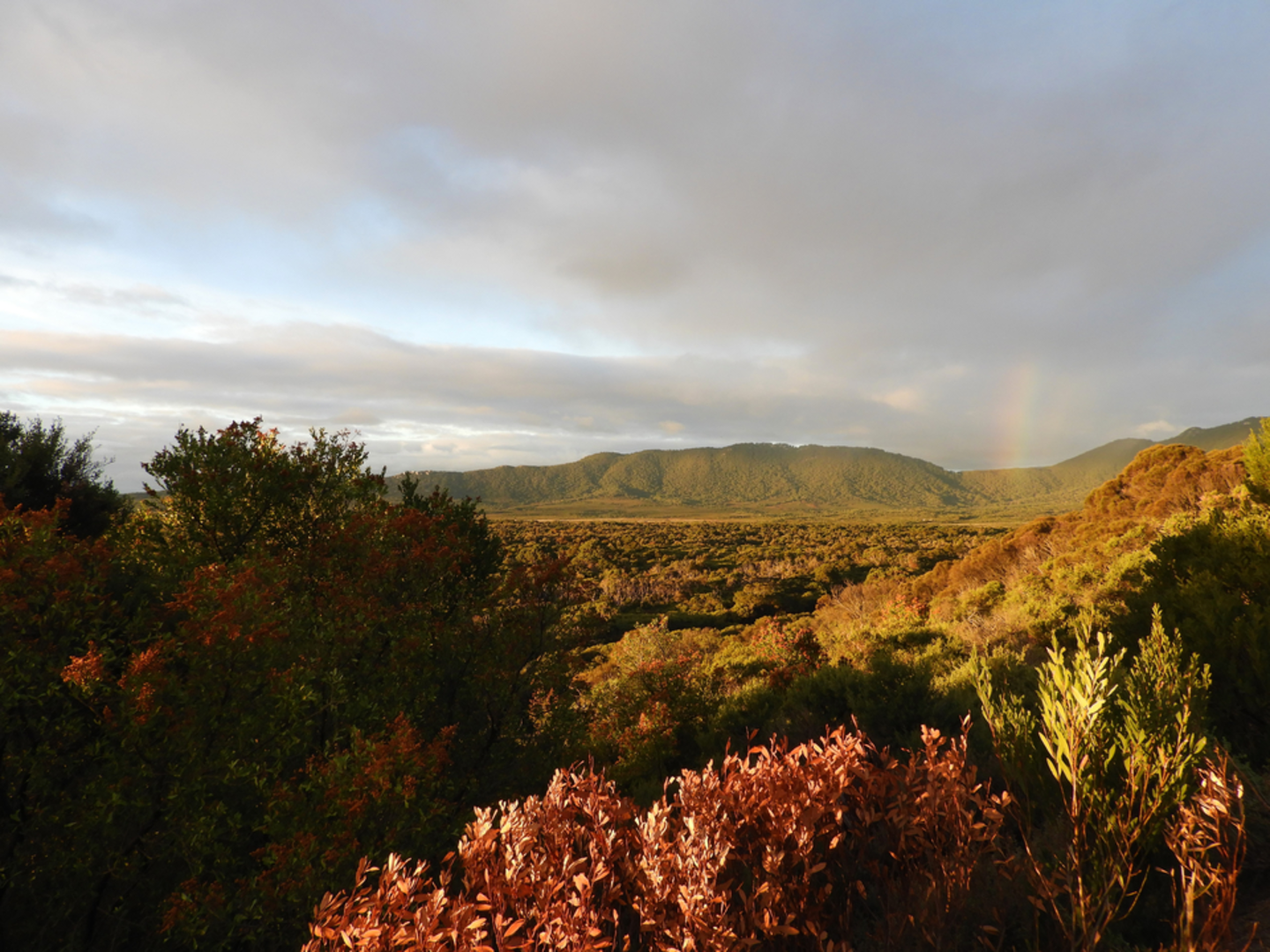 An image depicting the trail Millers Landing Nature Walk and its surrounding area.