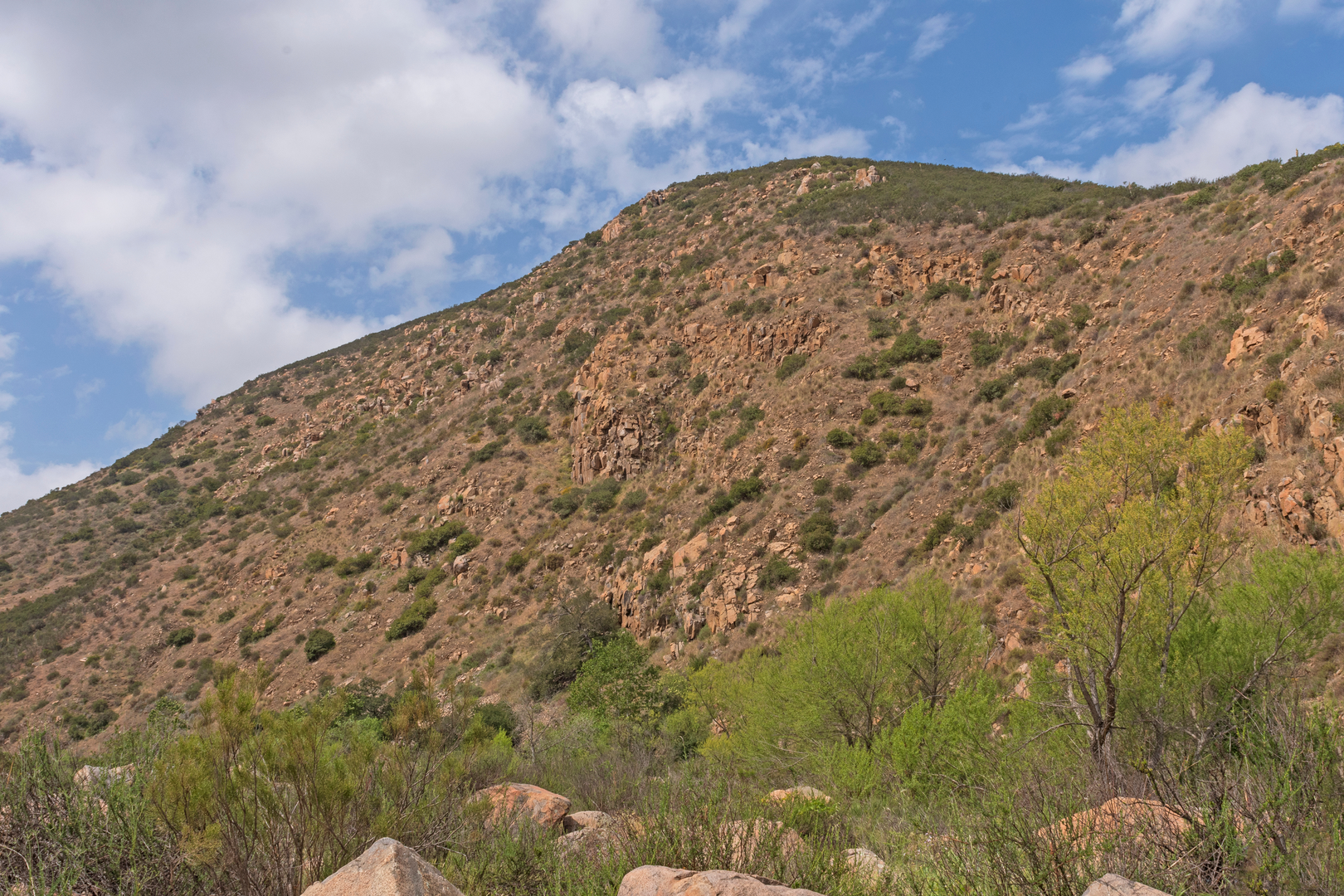 An image depicting the trail Oak Canyon Trail and its surrounding area.