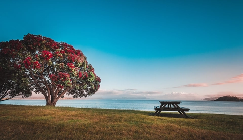 Opua to Paihia Coastal Walkway