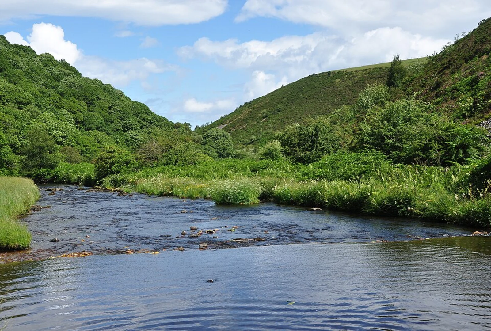 An image depicting the trail Malmsmead Loop and its surrounding area.