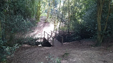 Hurst Wood and Beech Wood via Stour Valley Walk
