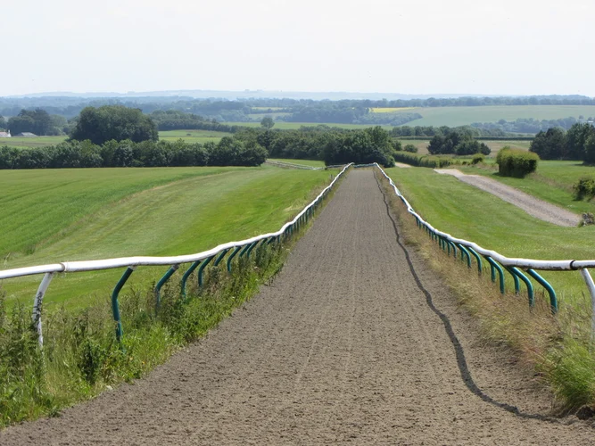 Fyfield Down National Nature Reserve Loop