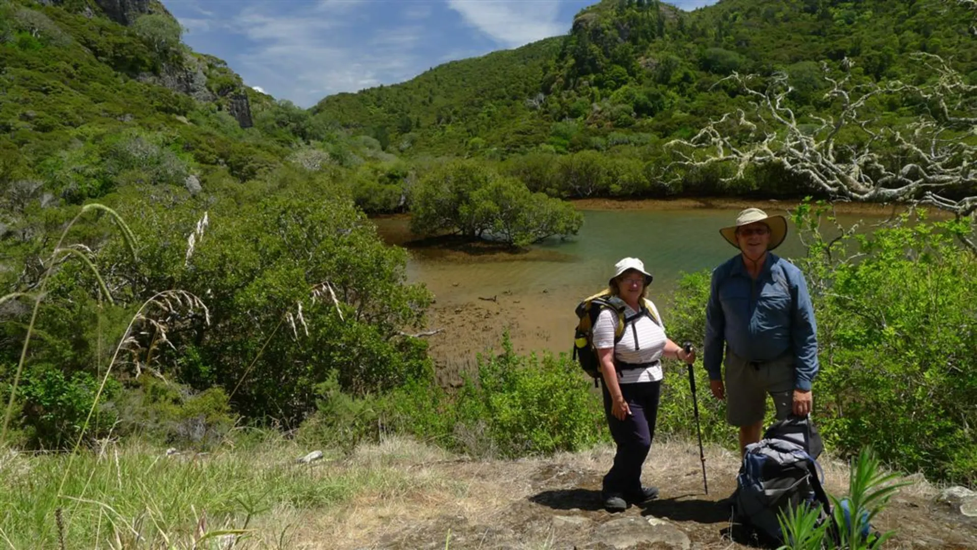 An image depicting the trail Wairakau Stream Track and its surrounding area.
