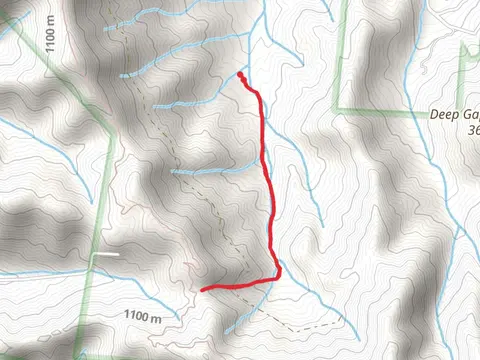 Locust Cove Trail