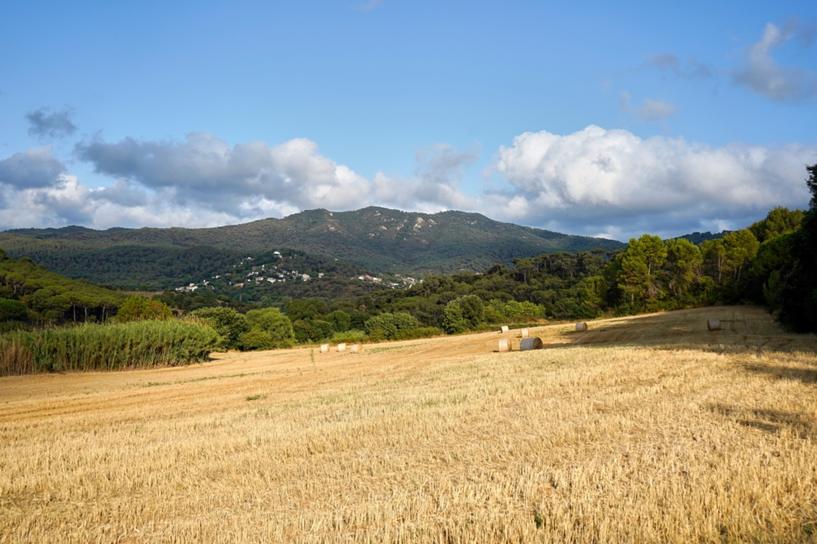 An image depicting the trail Granollers Path PR C 36 and its surrounding area.
