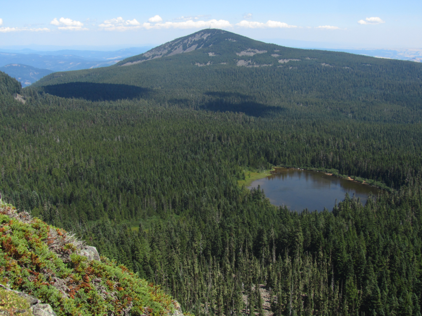 An image depicting the trail Rainy Lake - Kingsley Trail and its surrounding area.
