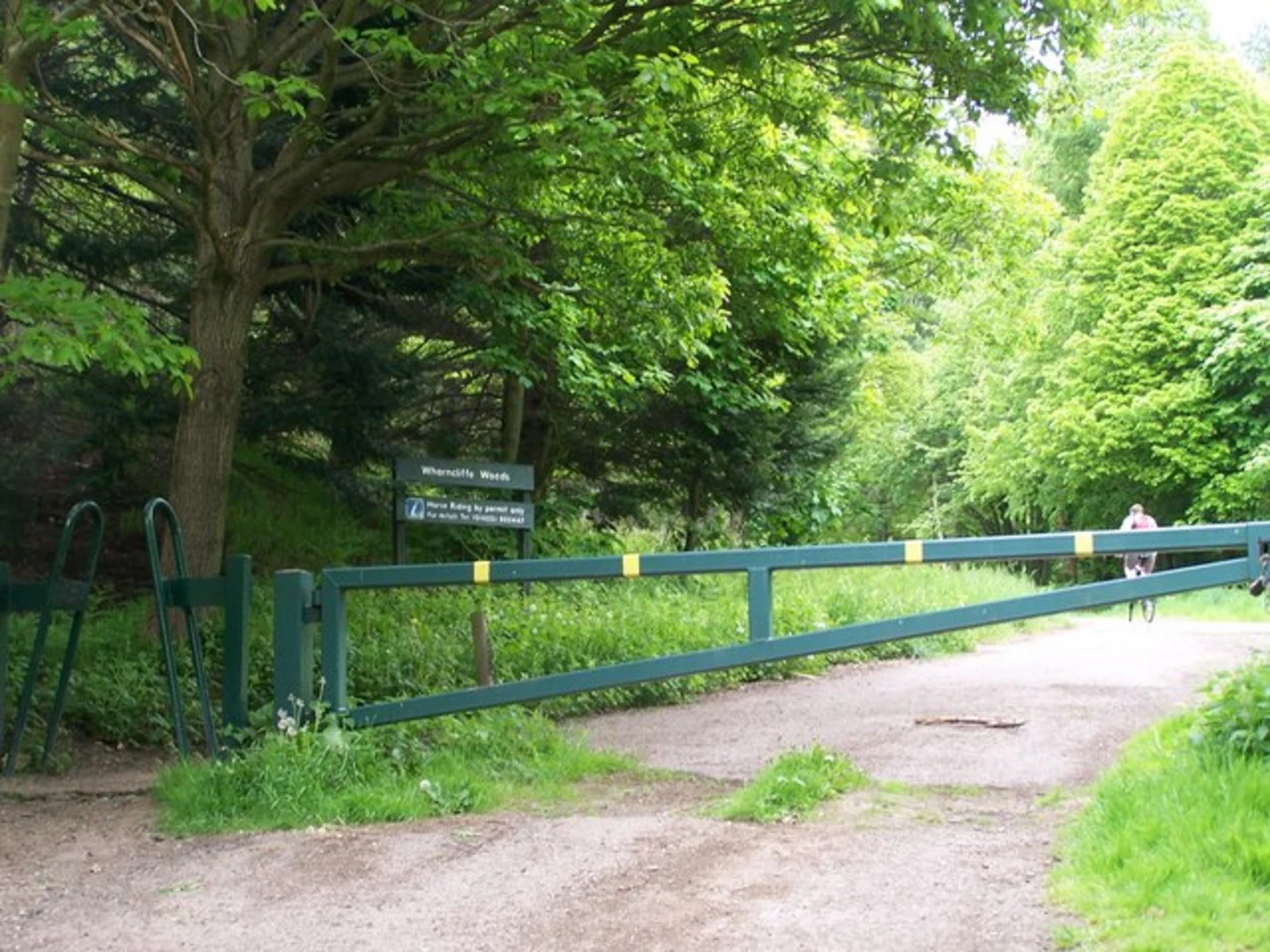 An image depicting the trail Wharncliliffe Woods Loop and its surrounding area.