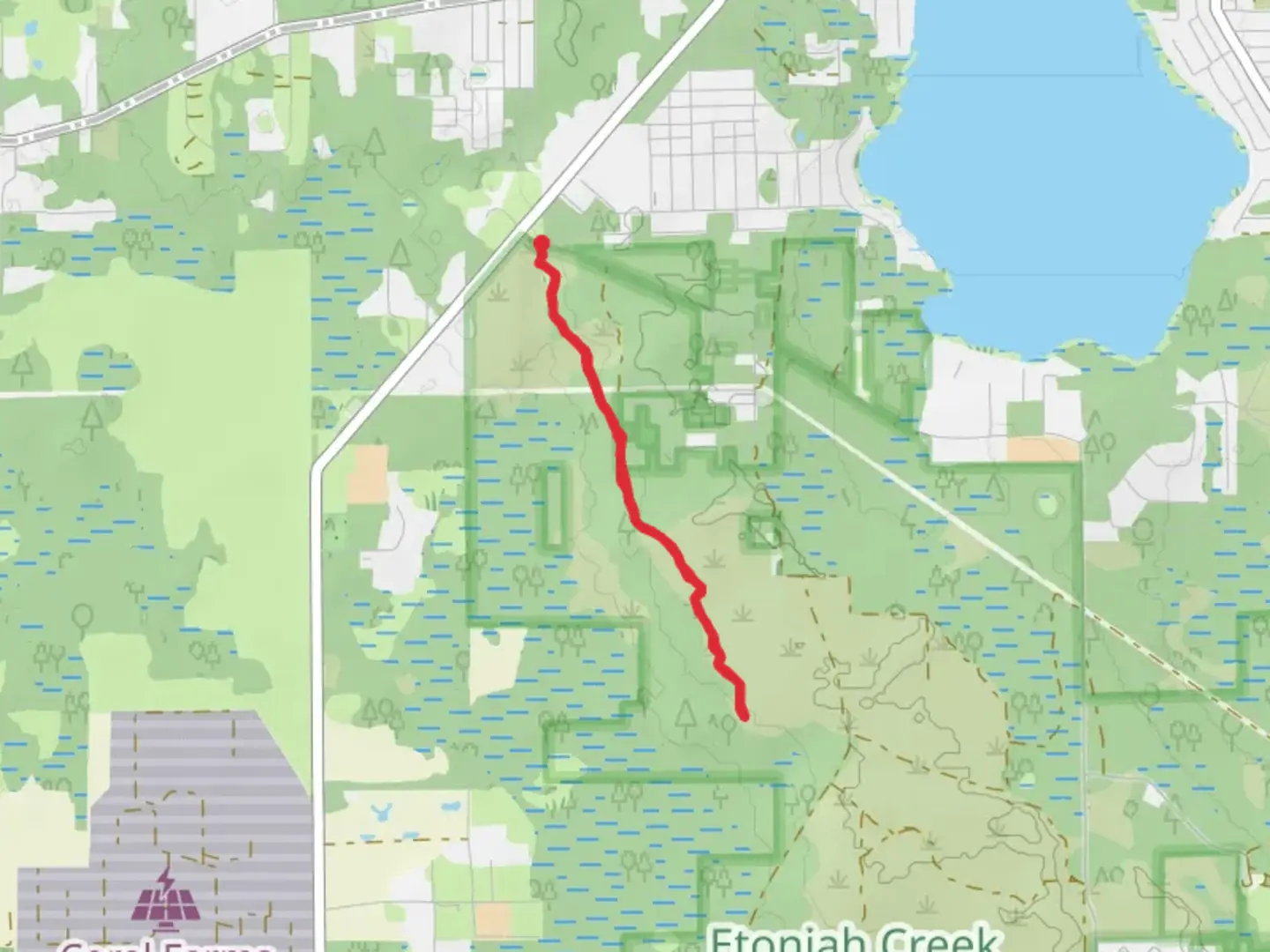 An image depicting the trail Florida Trail - Tinsley Road and its surrounding area.