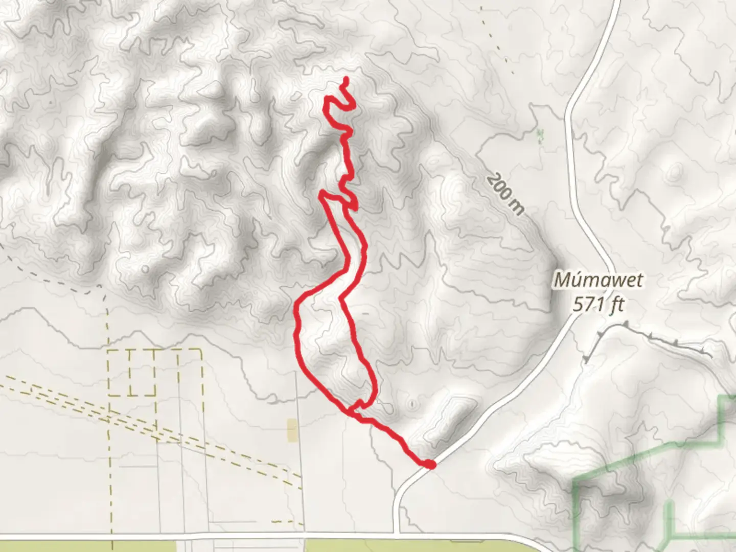 An image depicting the trail Willis Palms Loop and its surrounding area.