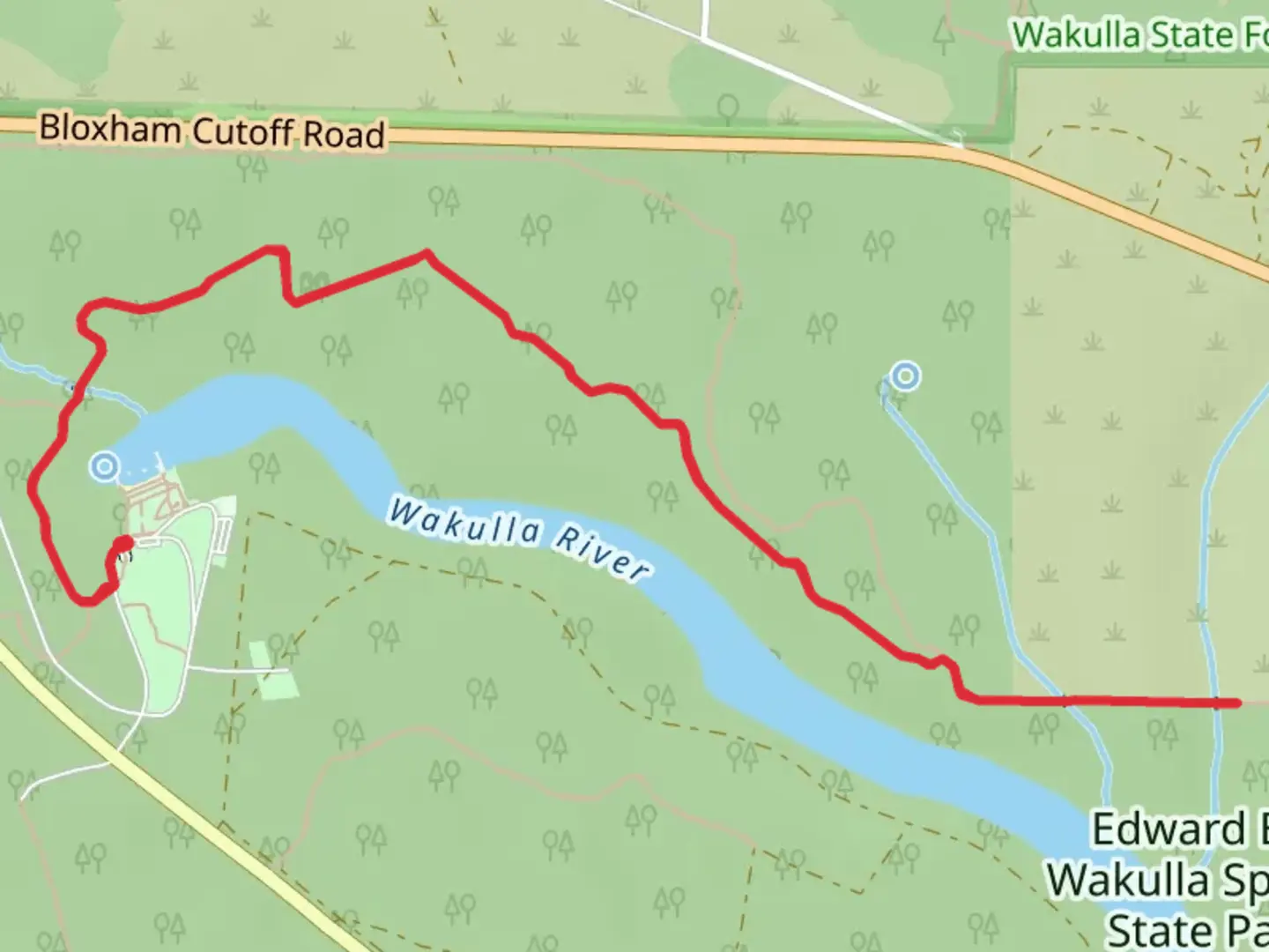 An image depicting the trail Wakulla River and its surrounding area.