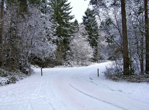 Pound Green and Dowles Brook from Hawkbatch