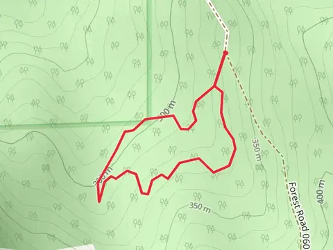 Forest Road 060 Loop