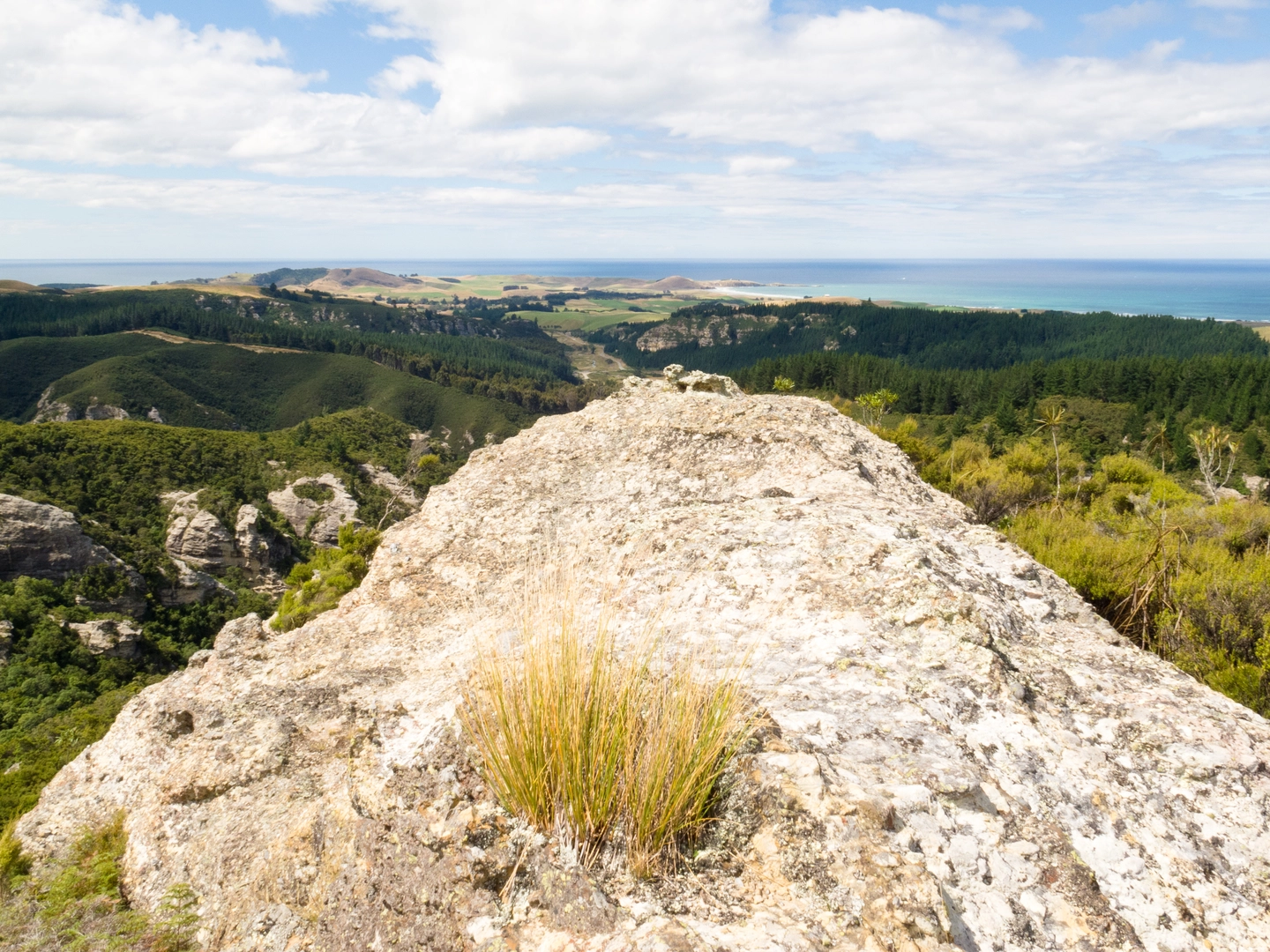 An image depicting the trail Trotters Gorge Track and its surrounding area.