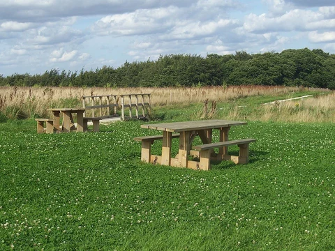 Wombwell Wood Loop