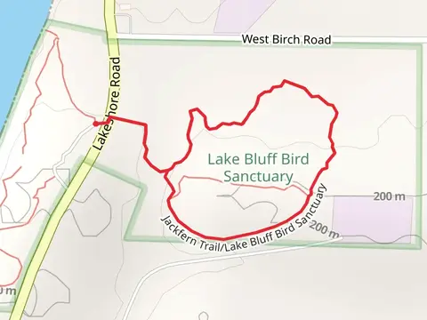 Jackfern and Lake Bluff Bird Sanctuary Loop