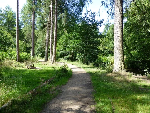 Northern Wood Loop