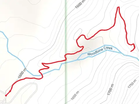 Woodbine Falls Trail
