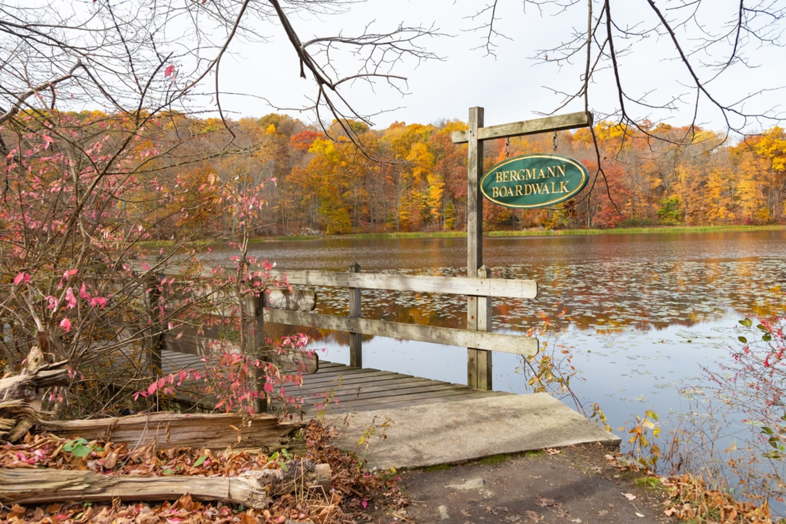 An image depicting the trail Teatown Lake, Bailey Brook and Vernay Lake Loop Trail and its surrounding area.