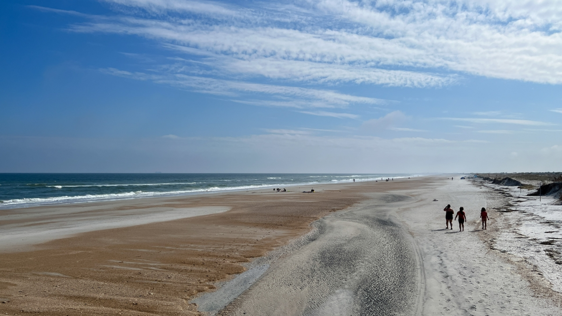 An image depicting the trail Little Talbot Island State Park Loop and its surrounding area.