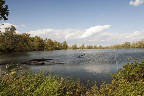 Alum Creek Greenway Trail