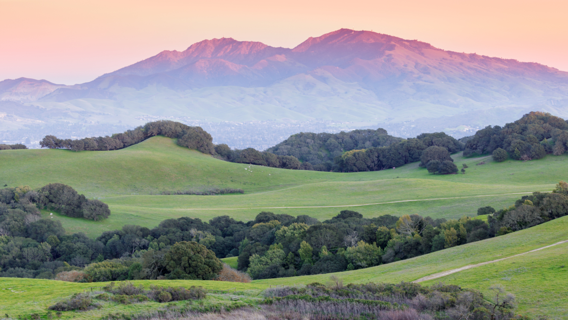 An image depicting the trail Mount Diablo via Summit Trail and its surrounding area.