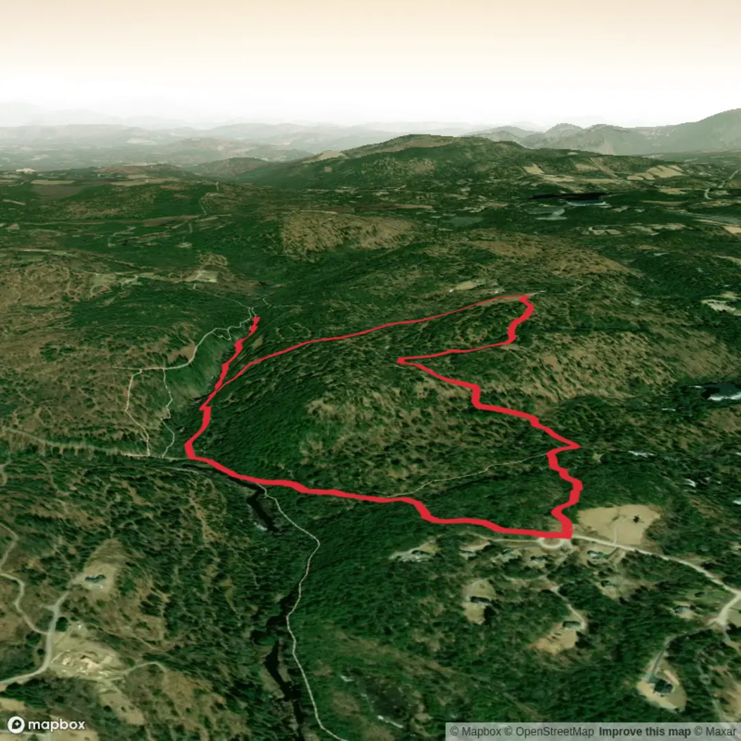 An image depicting the trail Purgatory Brook Loop Trail and its surrounding area.