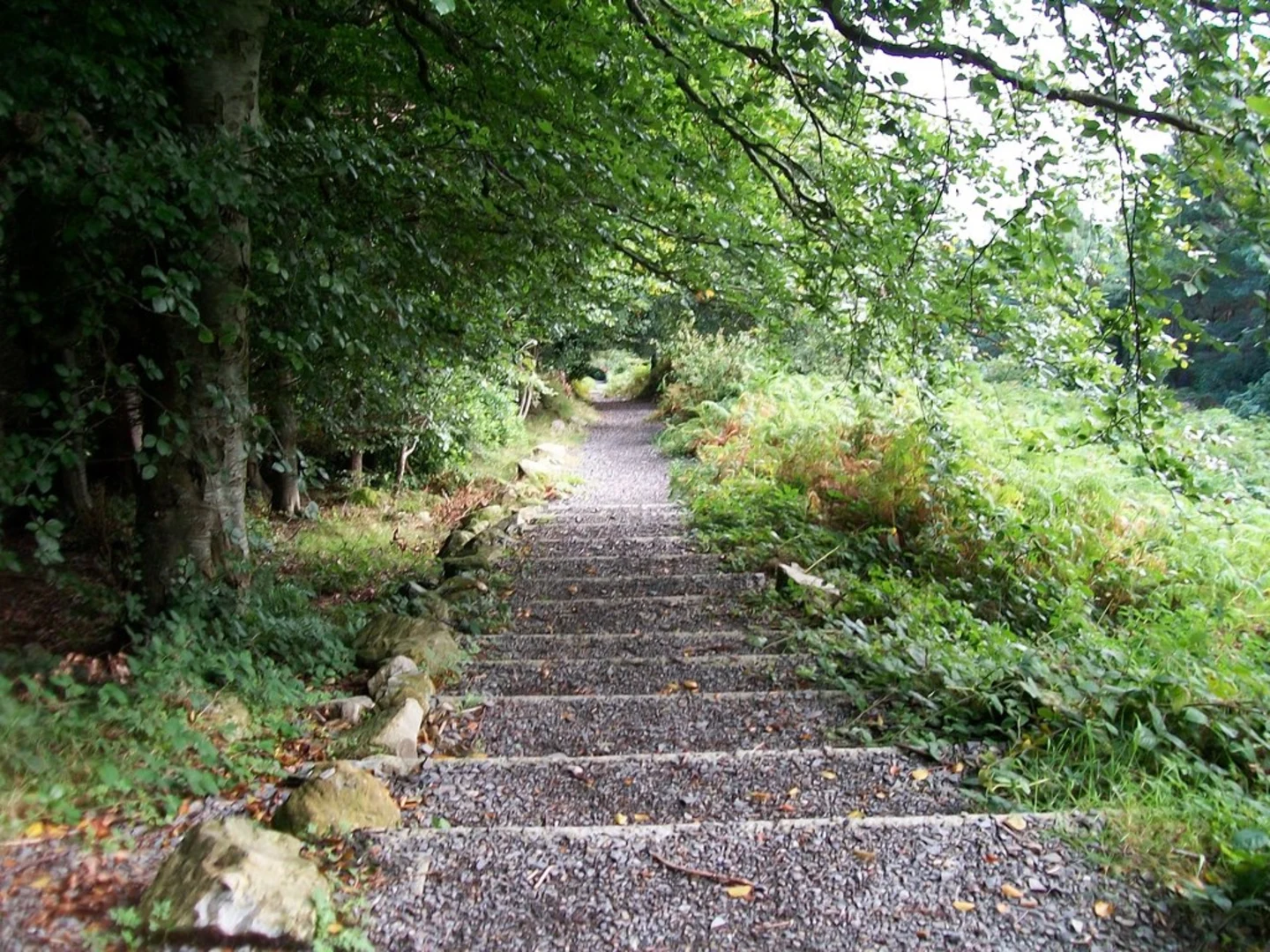 An image depicting the trail Granite Trail - Donard Loop and Bogie Line and its surrounding area.