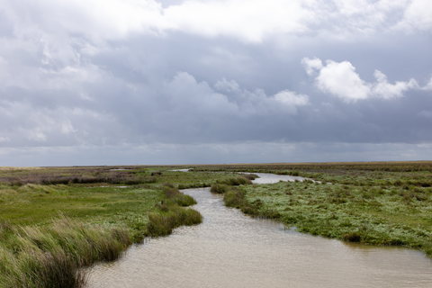 Markermeer, Ijsselmeer and Eilandspolder Loop