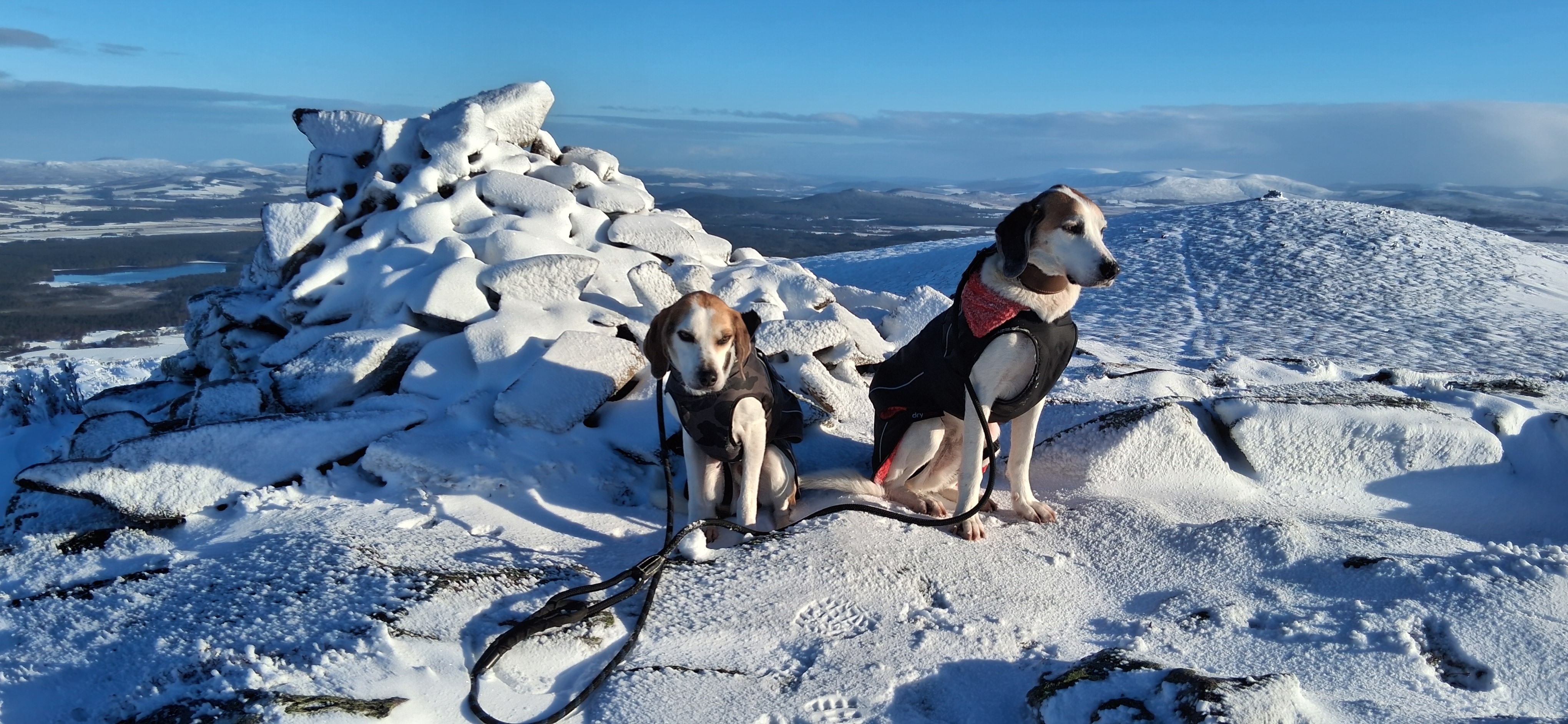 A map preview of the recording Cregan Gorm ridge hike.