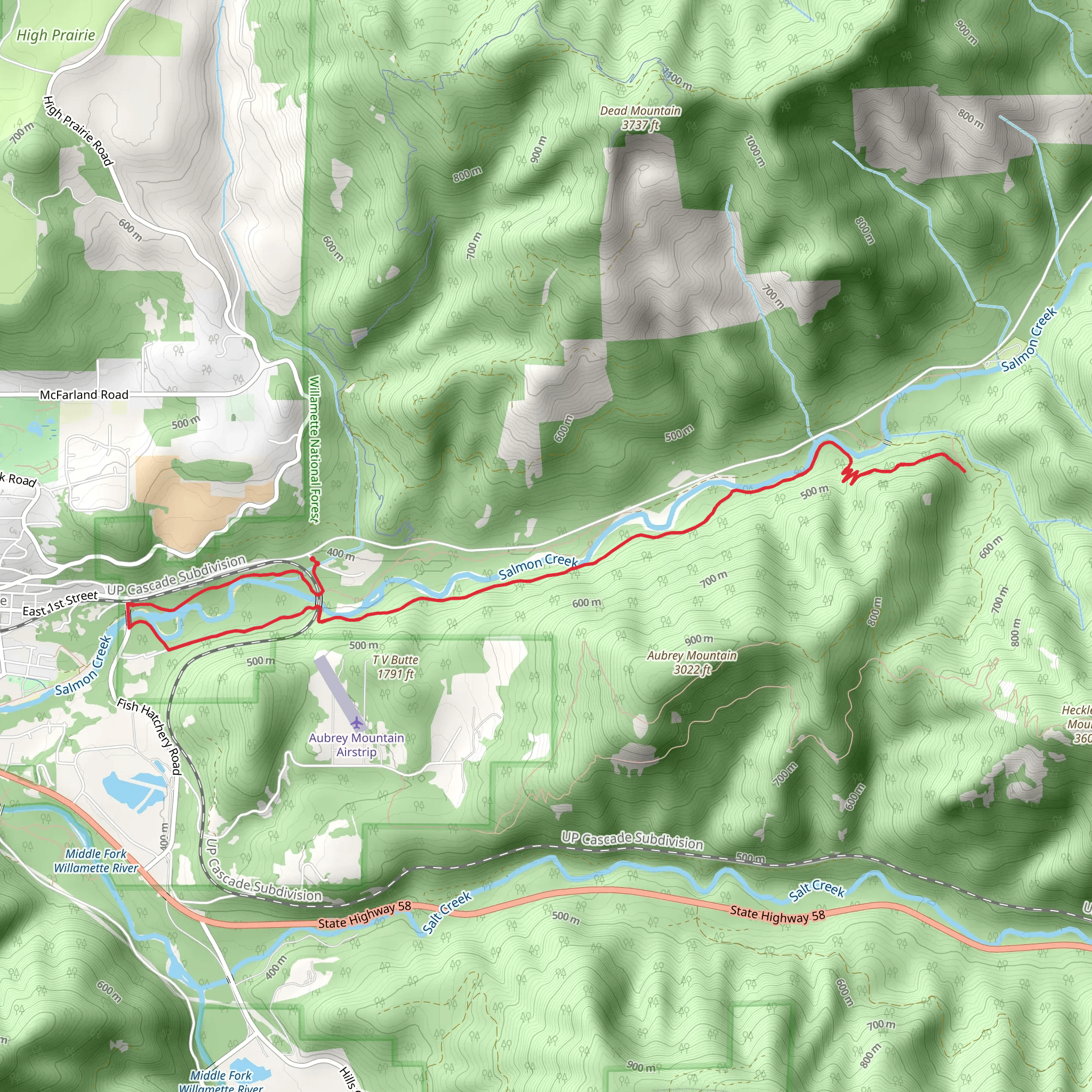 Salmon Creek Trail Out and Back mobile static map