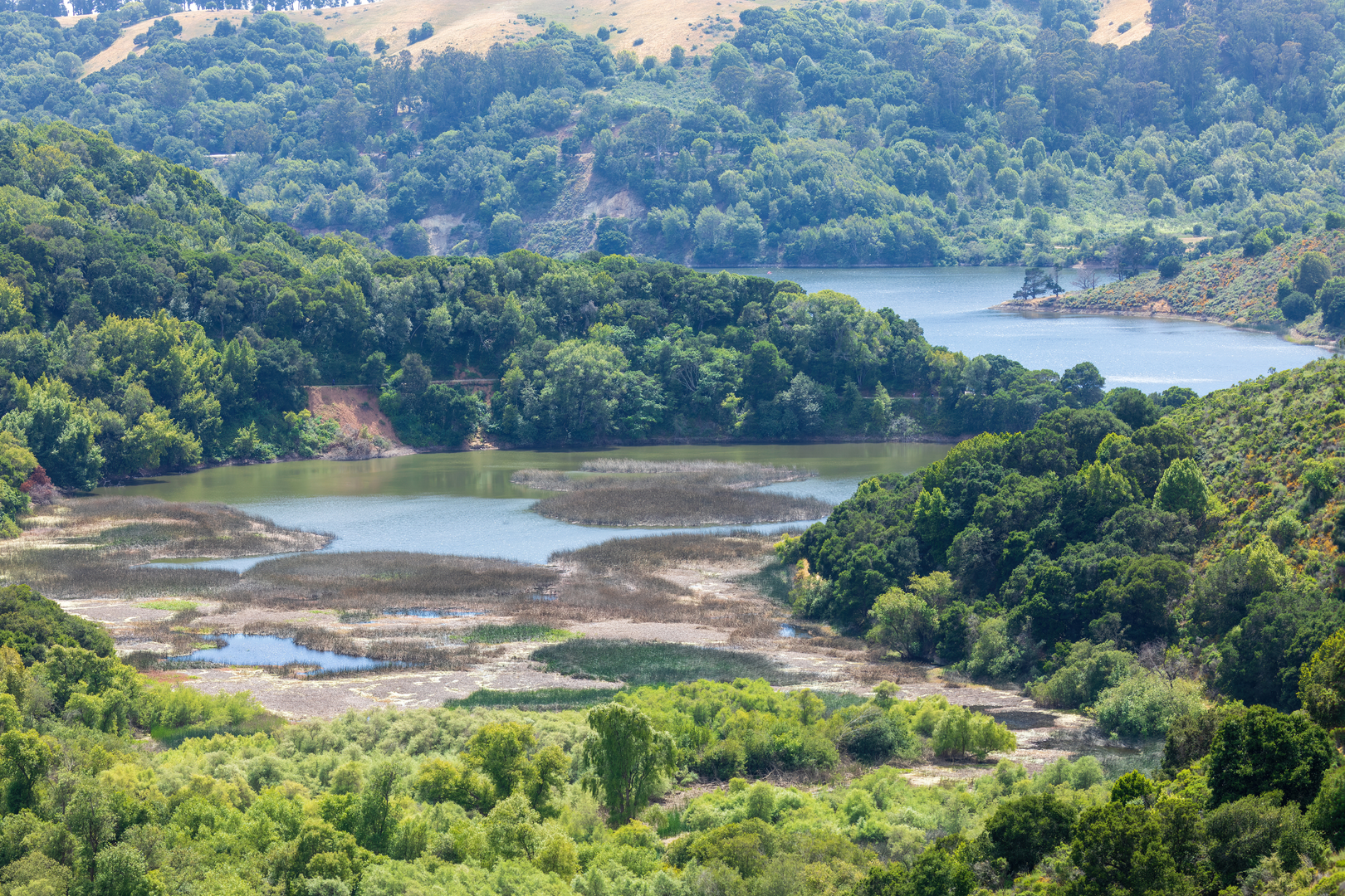 An image depicting the trail Goldenrod Trail and Jalquin Trail and its surrounding area.