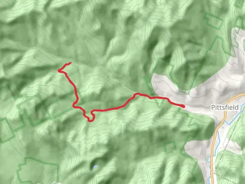 Caryl Brook Trail