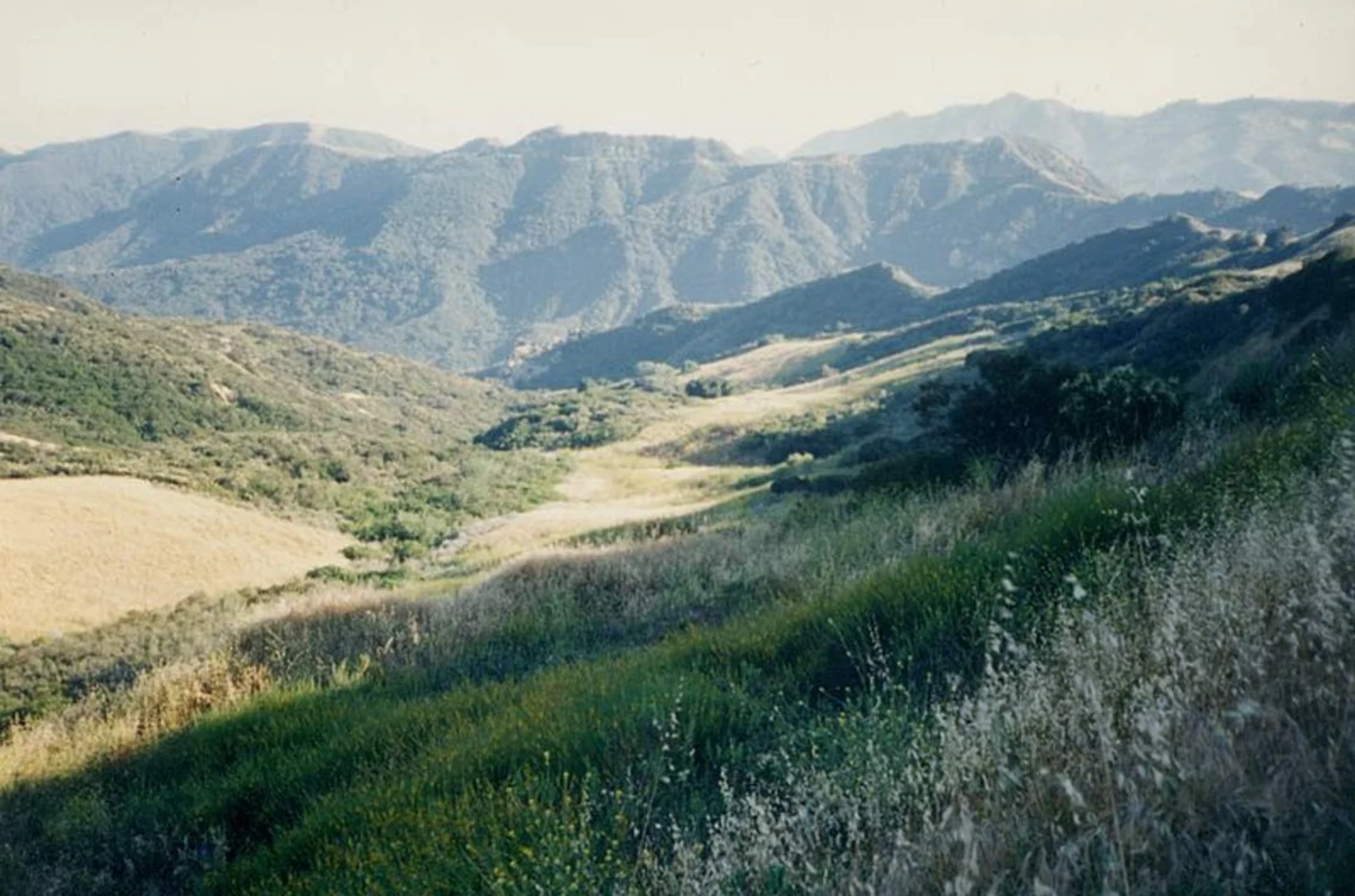 An image depicting the trail Musch Loop Trail and its surrounding area.