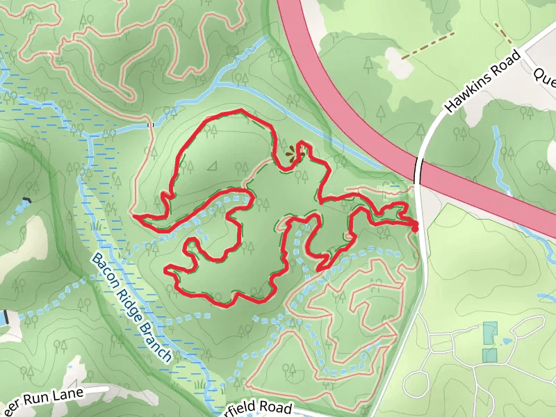 Box Turtle - Purple Loop Trail