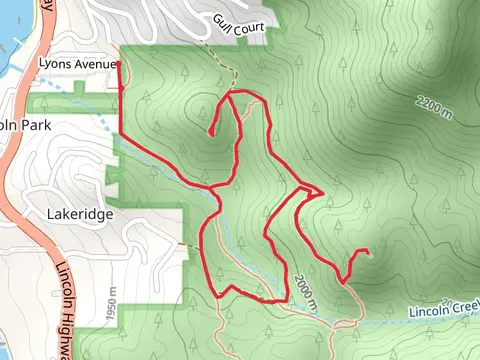Lincoln Creek Loop