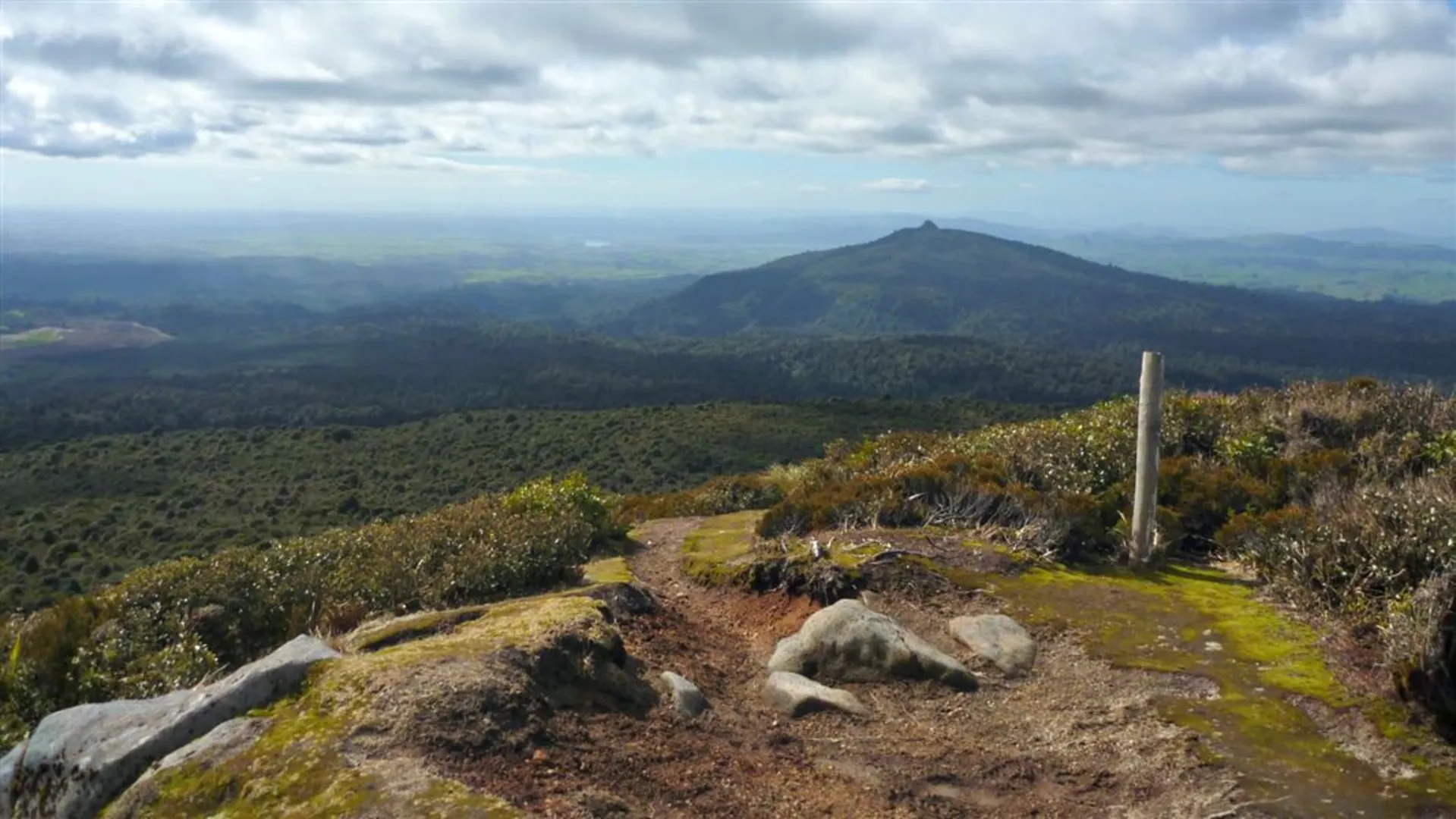 An image depicting the trail Mount Pureora from Link Road and its surrounding area.
