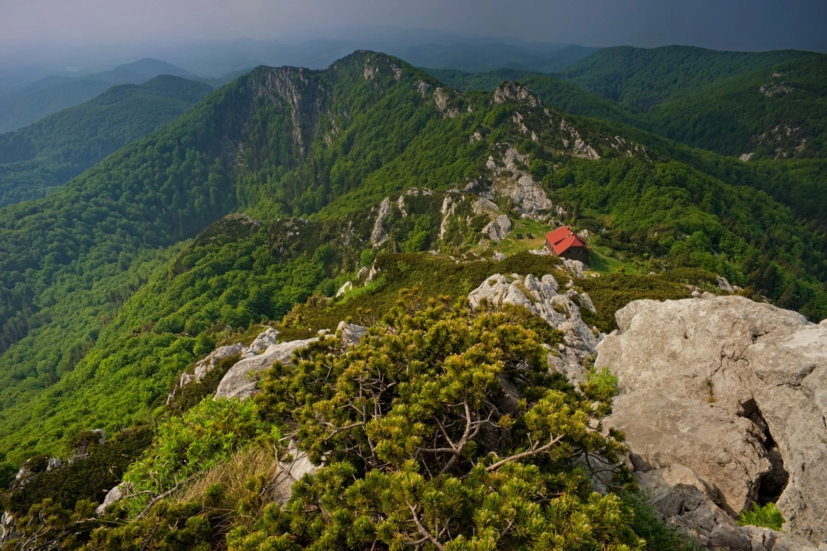 An image depicting the trail Snježnik Mountain Trail and its surrounding area.