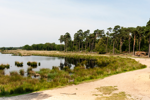 Kogelvangersven, Belversven and Kolkven Loop