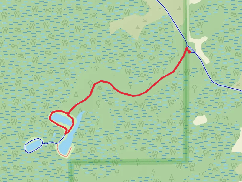 Chassahowitzka River and Coastal Swamp Short Trail