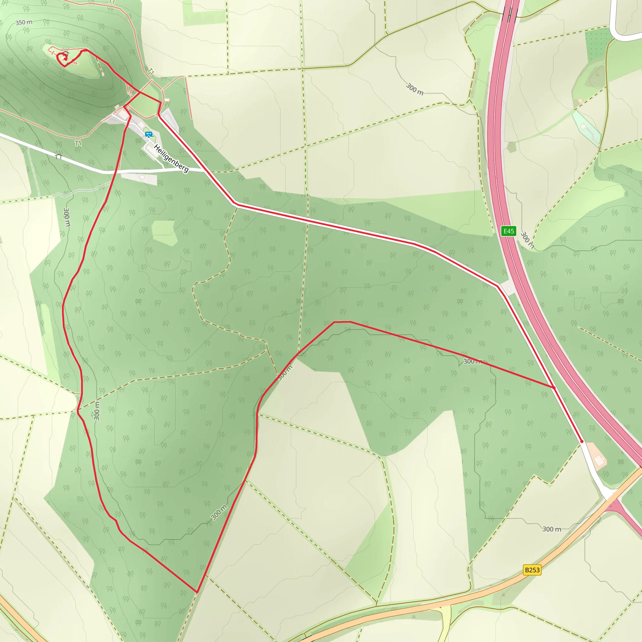 Melsunger Rundwanderweg and Bartenwetzerpfad Loop mobile static map