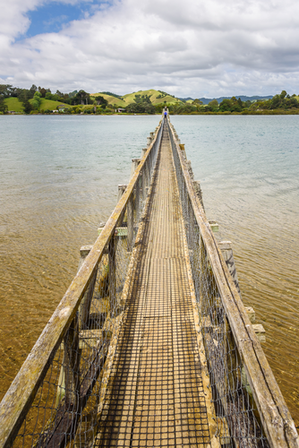 Whananaki Coastal Walkway