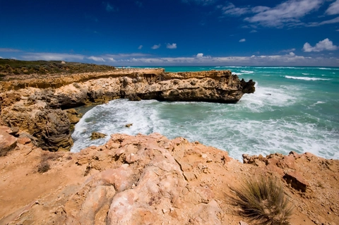 Cape Buffon Walk