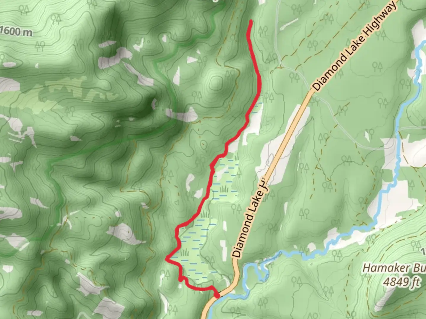 An image depicting the trail Muir Creek Out and Back and its surrounding area.