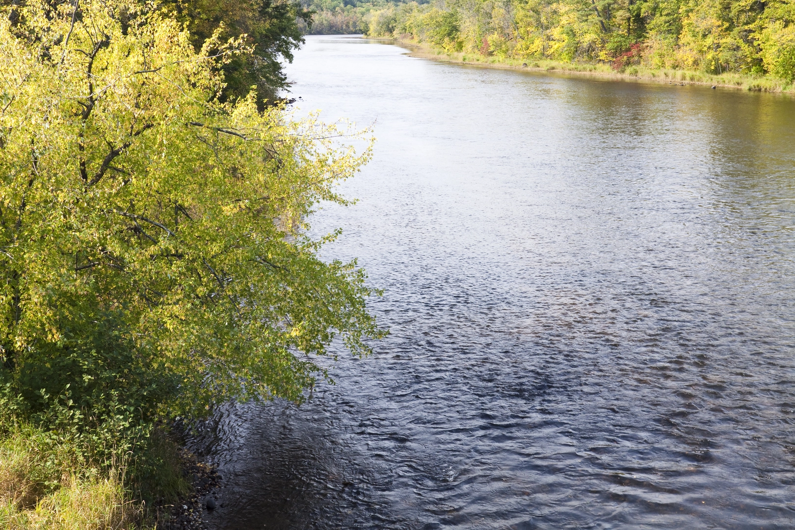 An image depicting the trail Wild River Trail and its surrounding area.