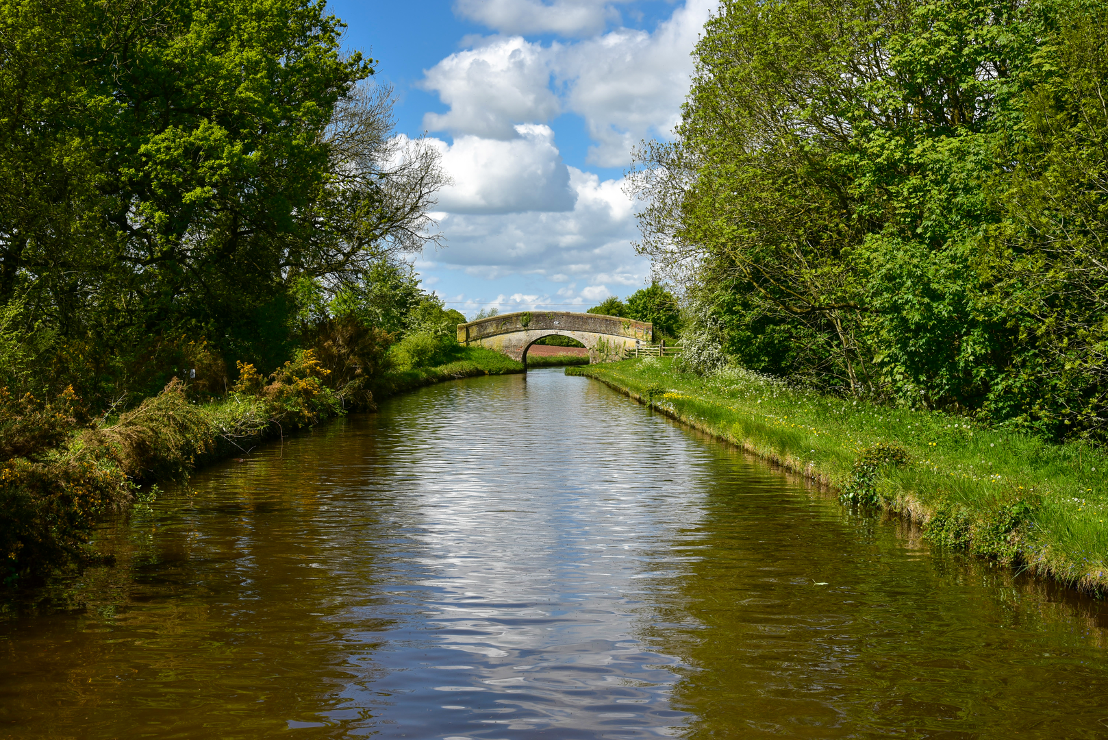 An image depicting the trail North Berwyn Way and its surrounding area.