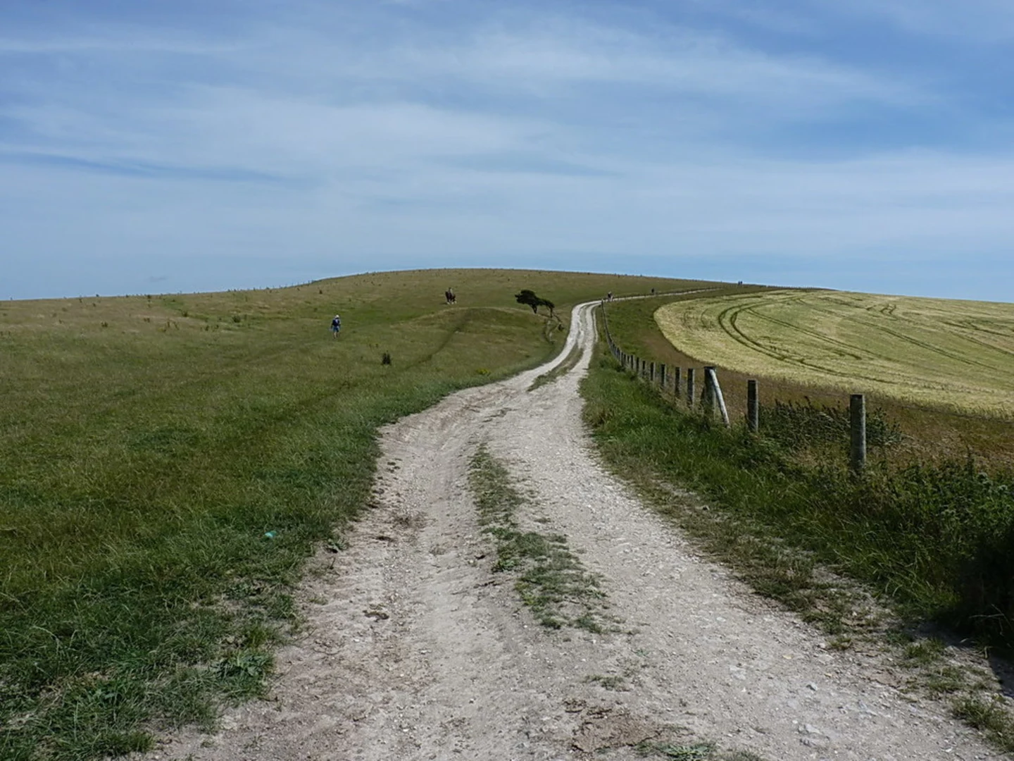 An image depicting the trail Poynings Loop and its surrounding area.